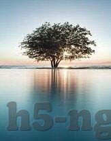 18世界杯小组赛预测-18世界杯小组赛预测，精准前瞻，激情碰撞的足球盛宴