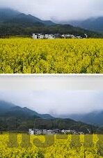 九游网app下载-九游网app，轻松管理时间的游戏社区